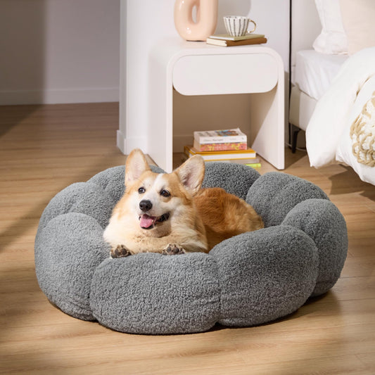 Calm Paws™ Calming Flower Donut Dog Bed - Calm Paws